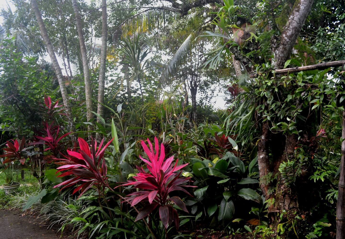 FOTO 5 AIRBNB EXTERIOR JARDIM.jpeg