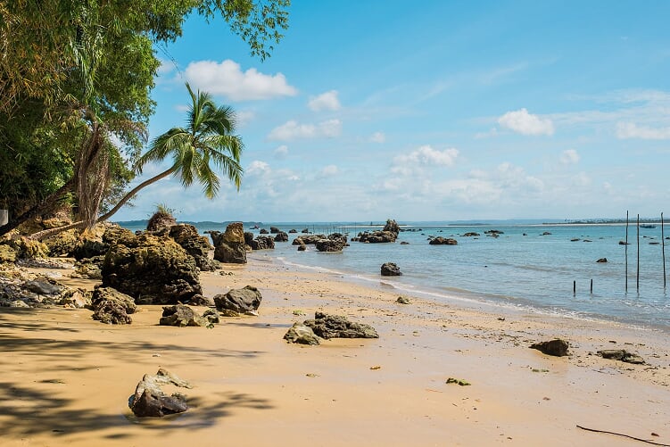VDD PRAIA DO ALAMBIQUE.jpg